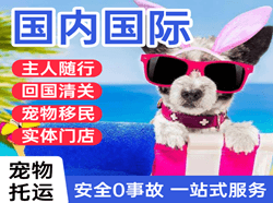 福州空运公司国际宠物托运 【国